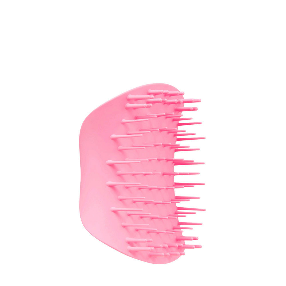 scalp brush